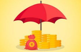 手把手教你查浙里办个人信用分，信用生活更轻松！